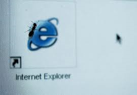 Internet Explorer bug